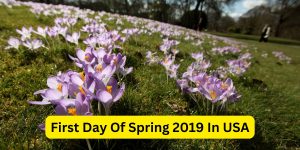 First Day Of Spring 2019 In USA