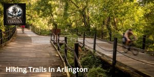 Hiking Trails In Arlington