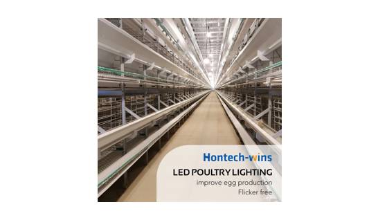 Don't Settle for Less: Tips for Finding the Perfect LED Lighting Provider for Your Poultry Business